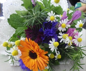 3月のイベント「3/29 自然体験プログラム ～香りの花束づくりとハーブの種まき～」